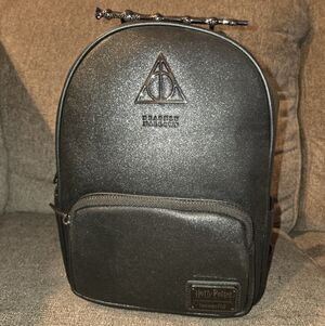 Warner Bros. Black Backpack